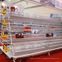 Practical and reasonable design chicken cages to export